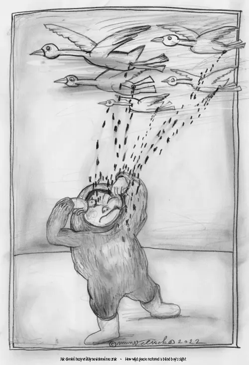 6 Jak Divoke Husy Mini Upr