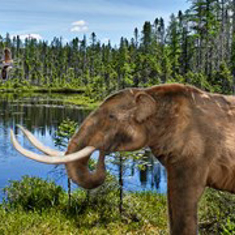 Natur I Et Aendre Klima 2