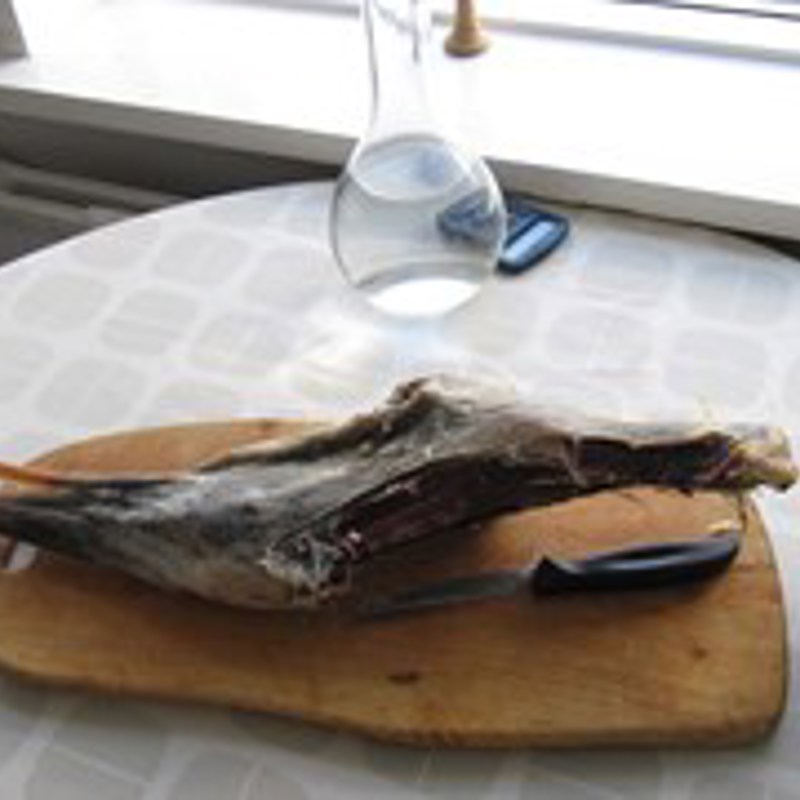 Skaerpekoed 3 Foto Lisbeth Nebelong