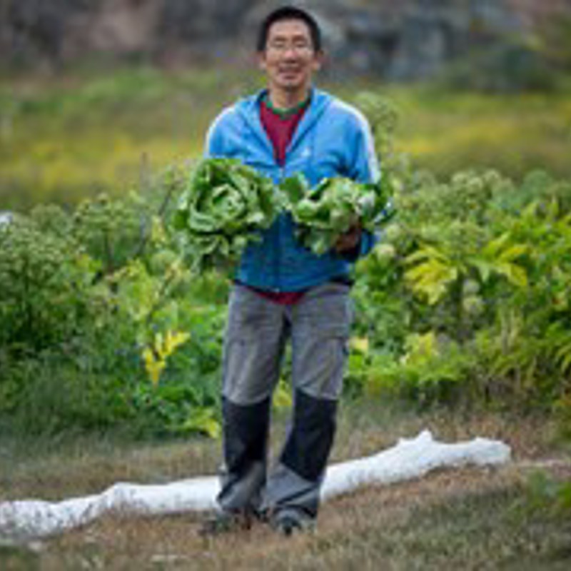 A Gardener From Upernaviarsuk Research Station Foto Mads Pihl Visit Greenland